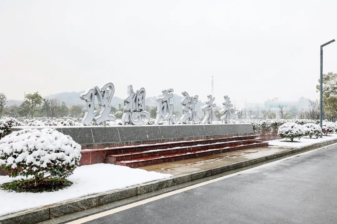 瑞雪兆豐年，邀您共賞雪中山河！